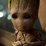 Avatar for Imgroot